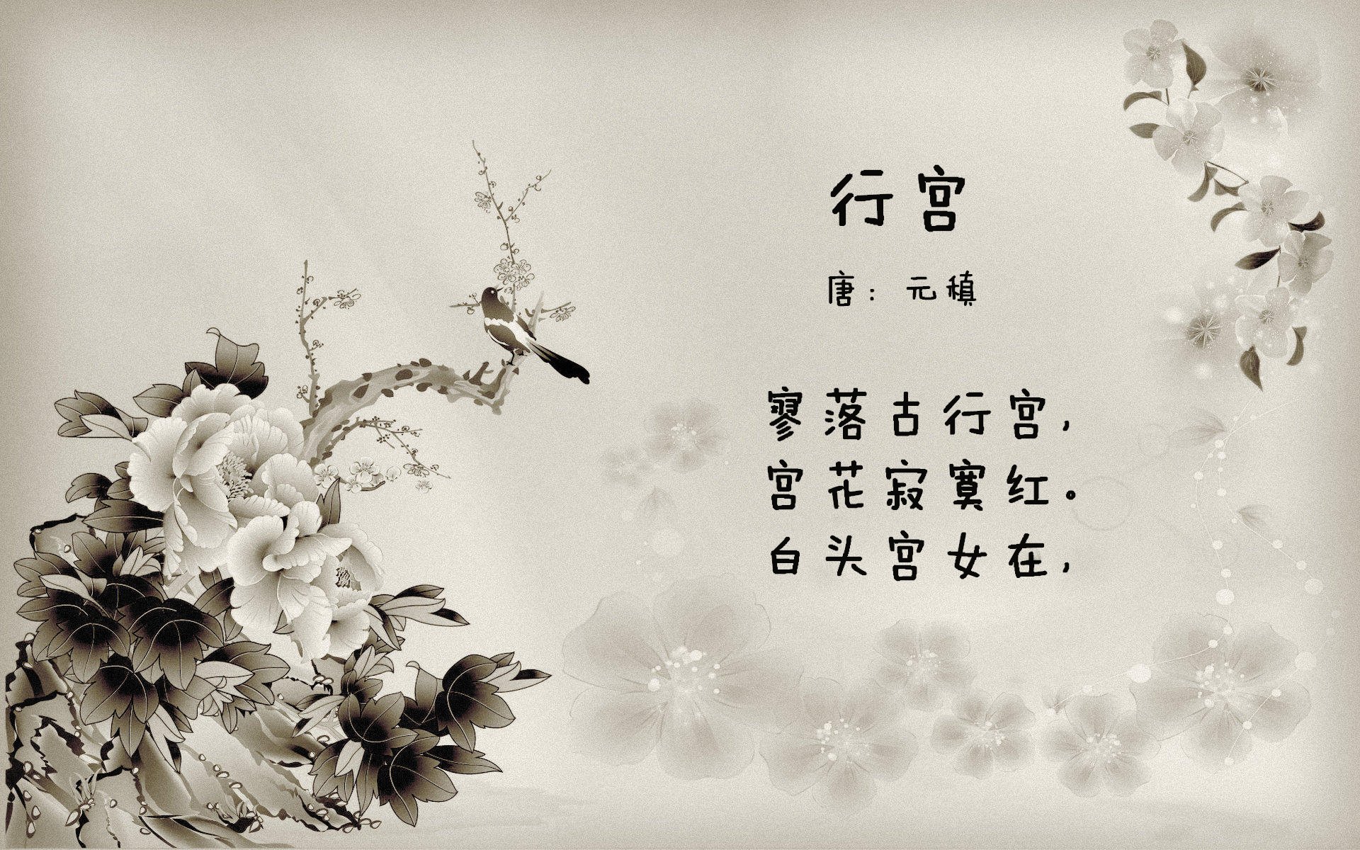 莱斯特城主帅布伦丹·罗杰斯：目标稳固英超地位，布伦特vs莱切斯特城