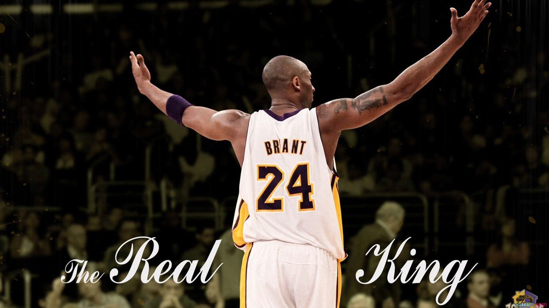 开云体育中国官网-_森林狼迎来强势反弹，士气大振_，森林狼dieng